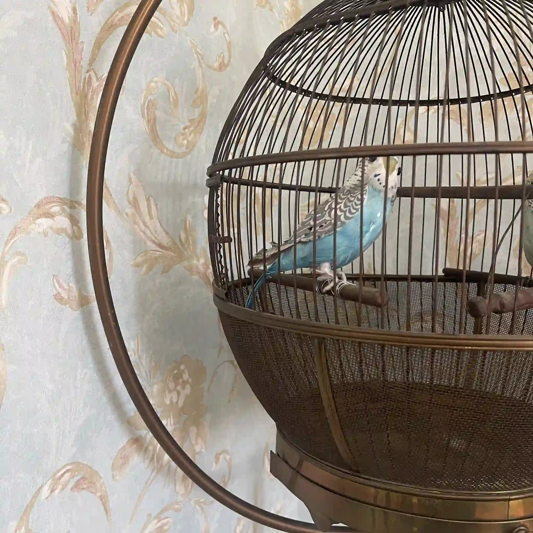 【アンティーク】 鳥カゴ / 
 / 20世紀初頭（推定） / 真鍮 / イギリス / イギリス直輸入