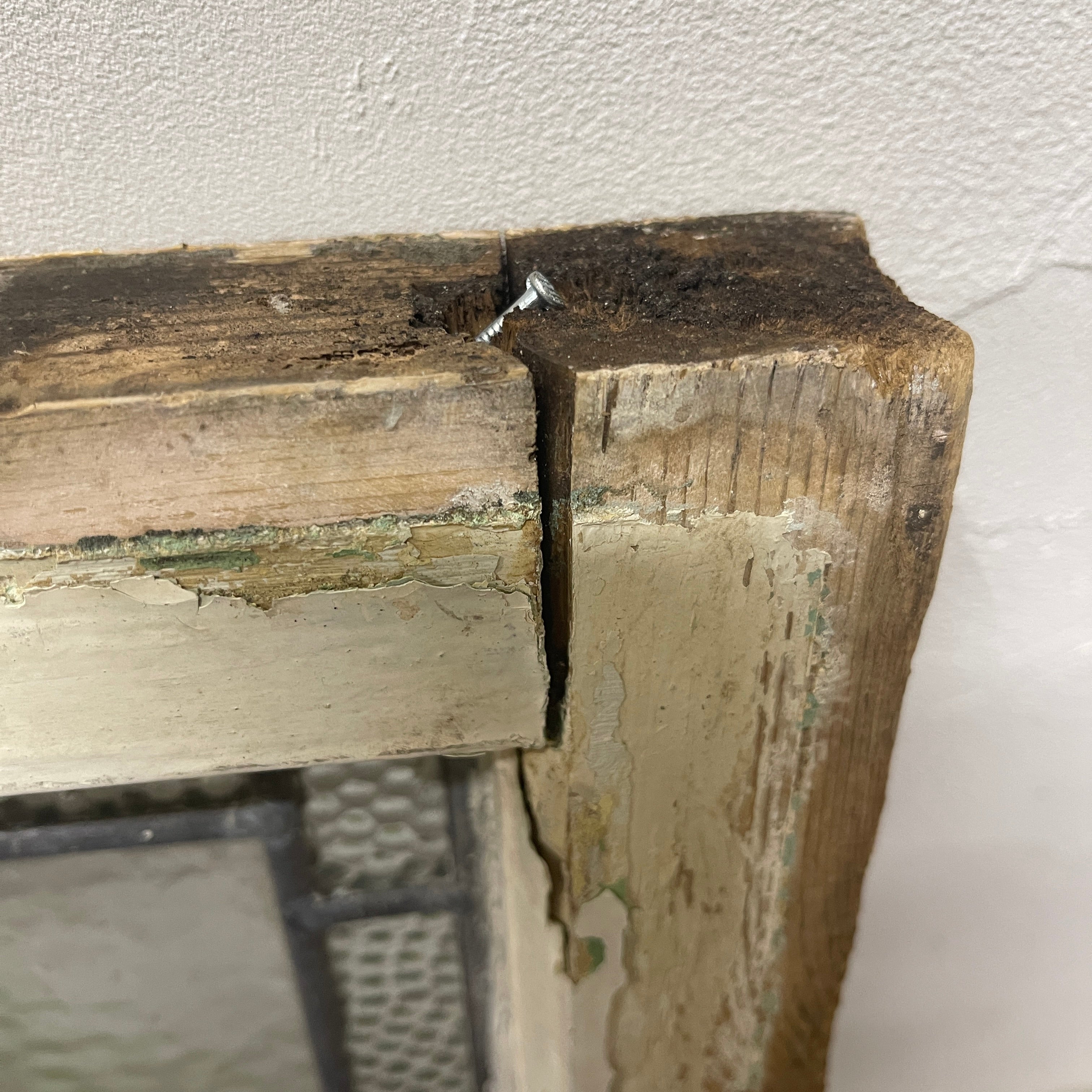 【アンティーク】 ステンドグラス / アール・ヌーヴォー / 20世紀初頭 (推定) / ガラス / イギリス / テクスチャード・ガラス, 植物モチーフ